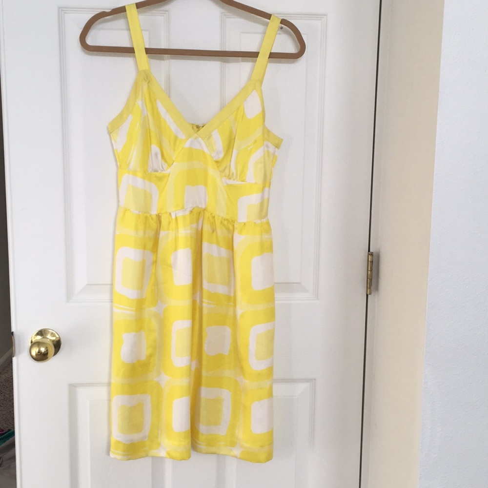 Bright beautiful satiny dress